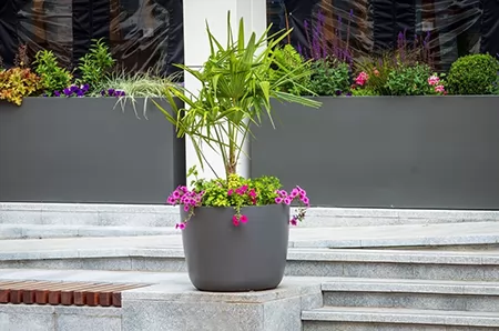 景观花箱