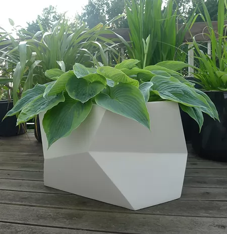 户外花箱