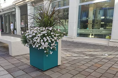 广场花箱